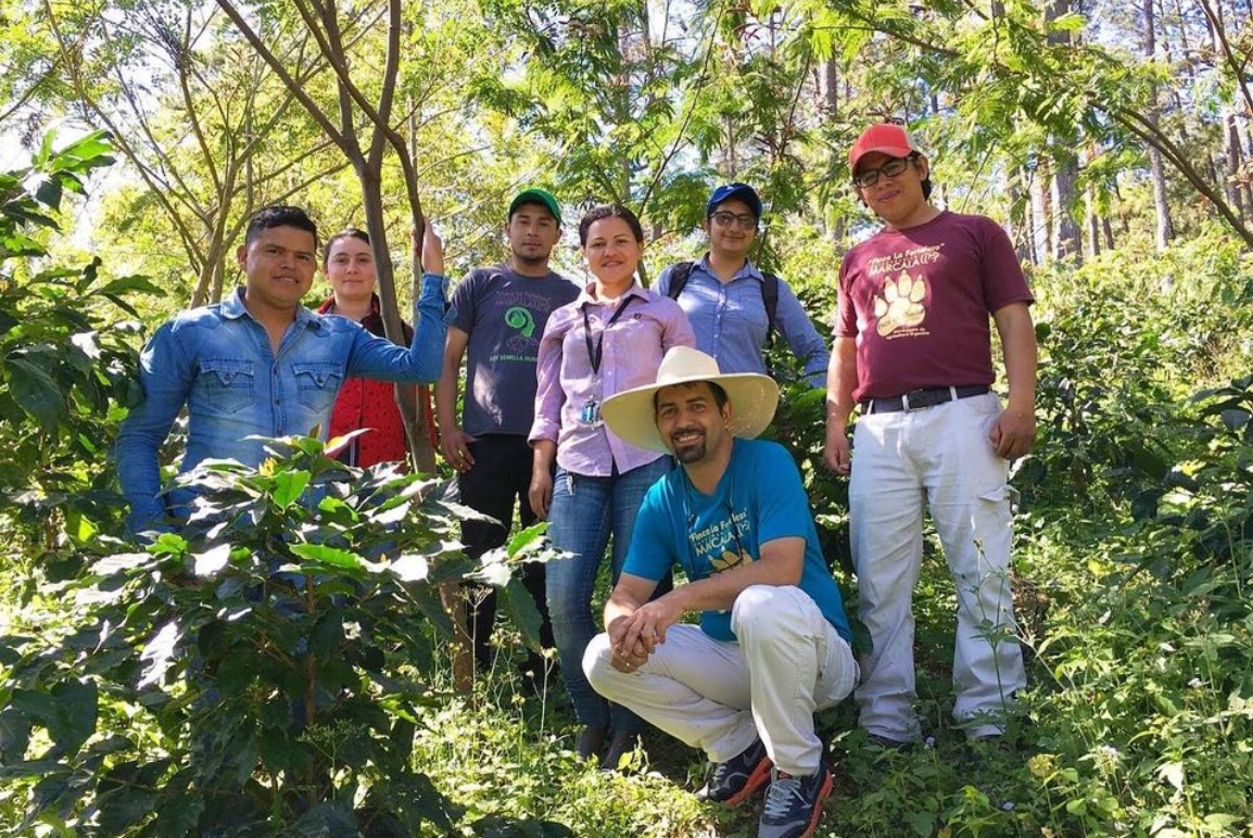 October coffee of the month - Honduras Natural