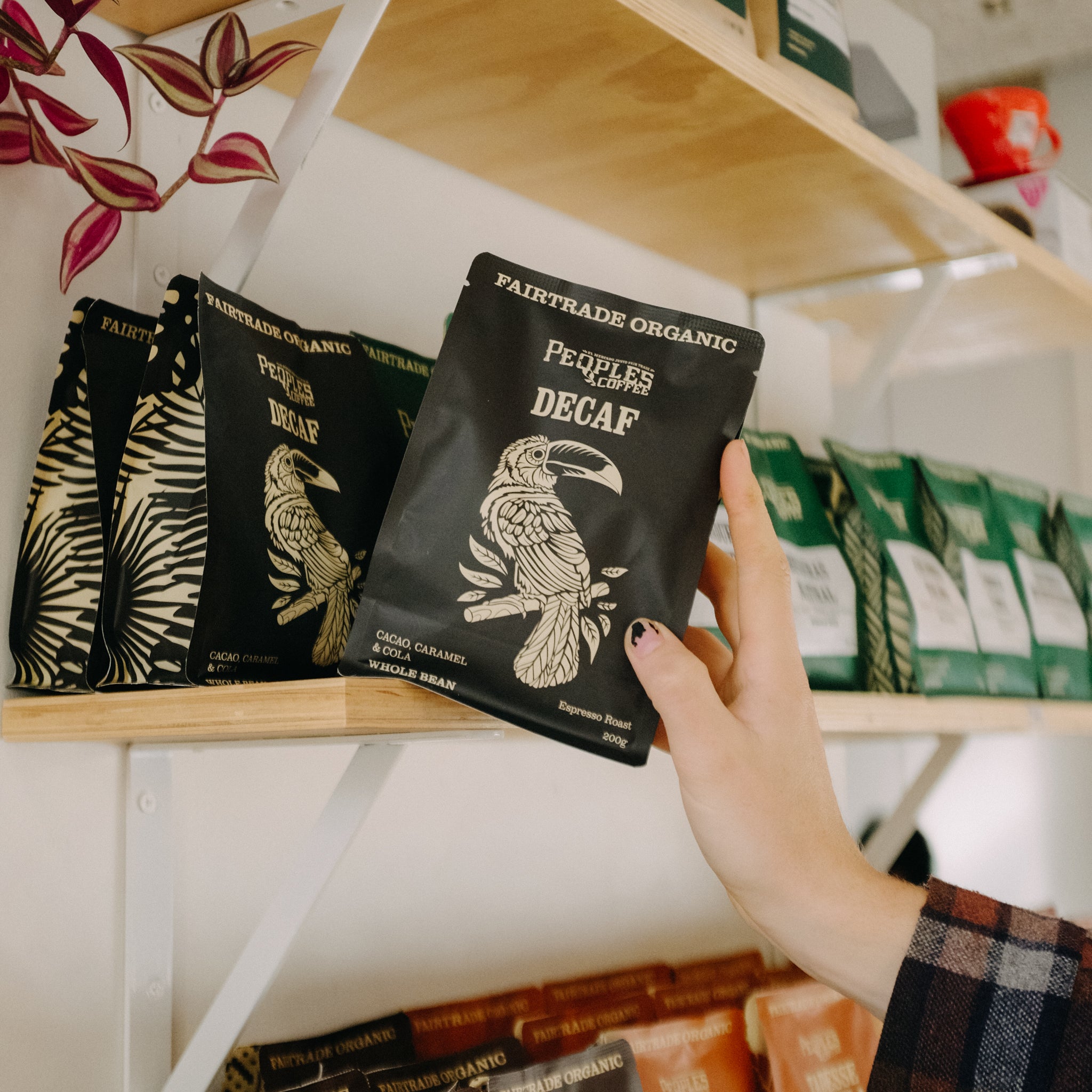 Specialty coffee bag on shelf shot on film
