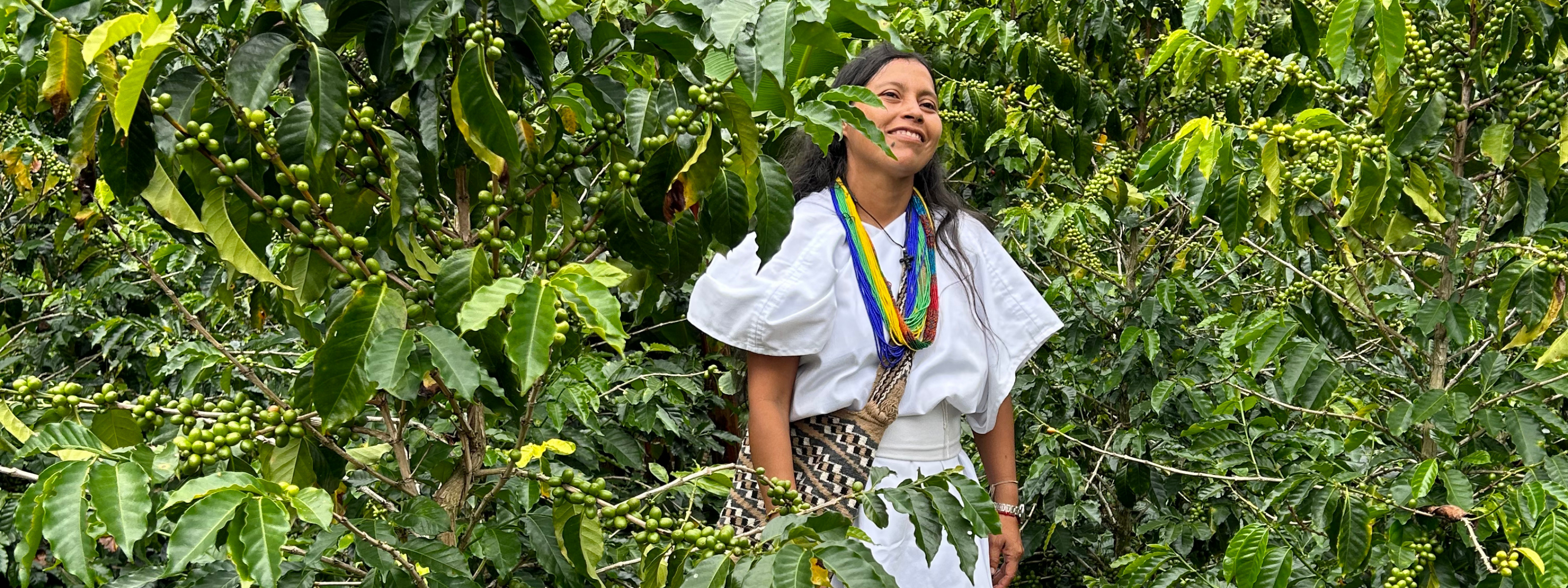 woman in front of coffee trees
