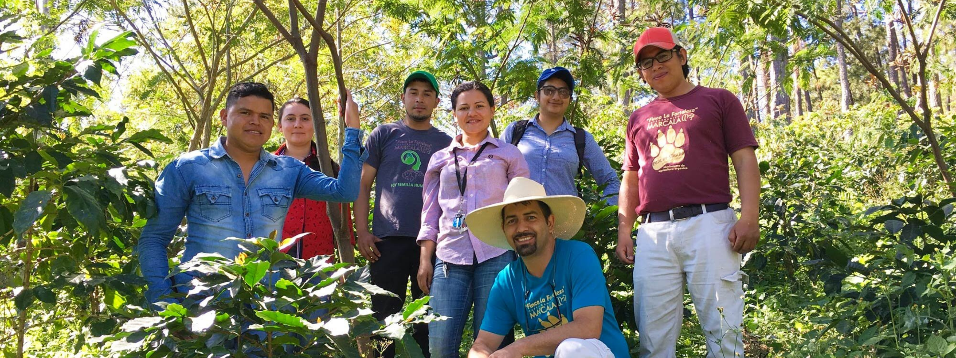 coffee producers on farm