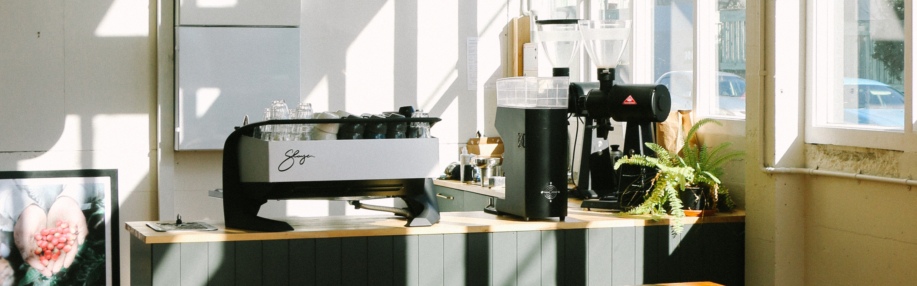 cafe with lots of natural light