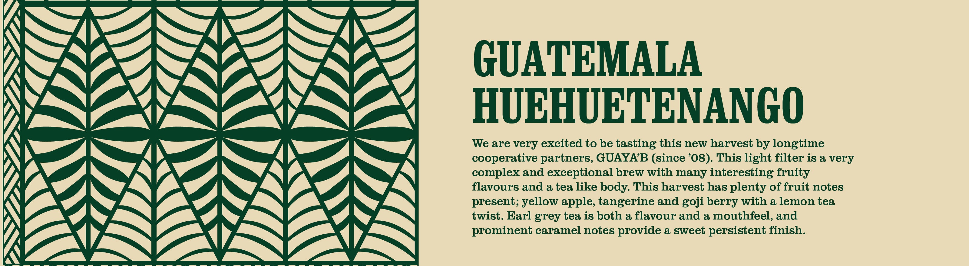 guatemala coffee informational image