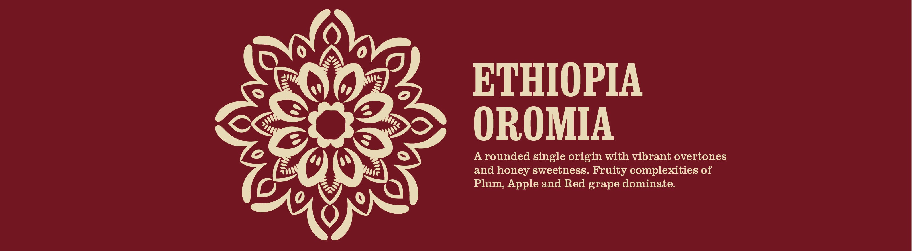 ethiopia coffee informational image